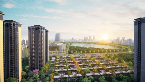 國風(fēng)院子爆紅衡陽 開放兩天日均接待超萬人次