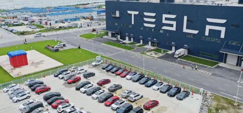 不只是國(guó)內(nèi)賣 特斯拉上海工廠出口月超4萬(wàn)