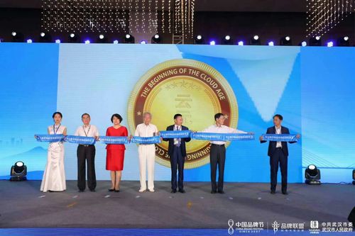 華云數(shù)字商品 云元