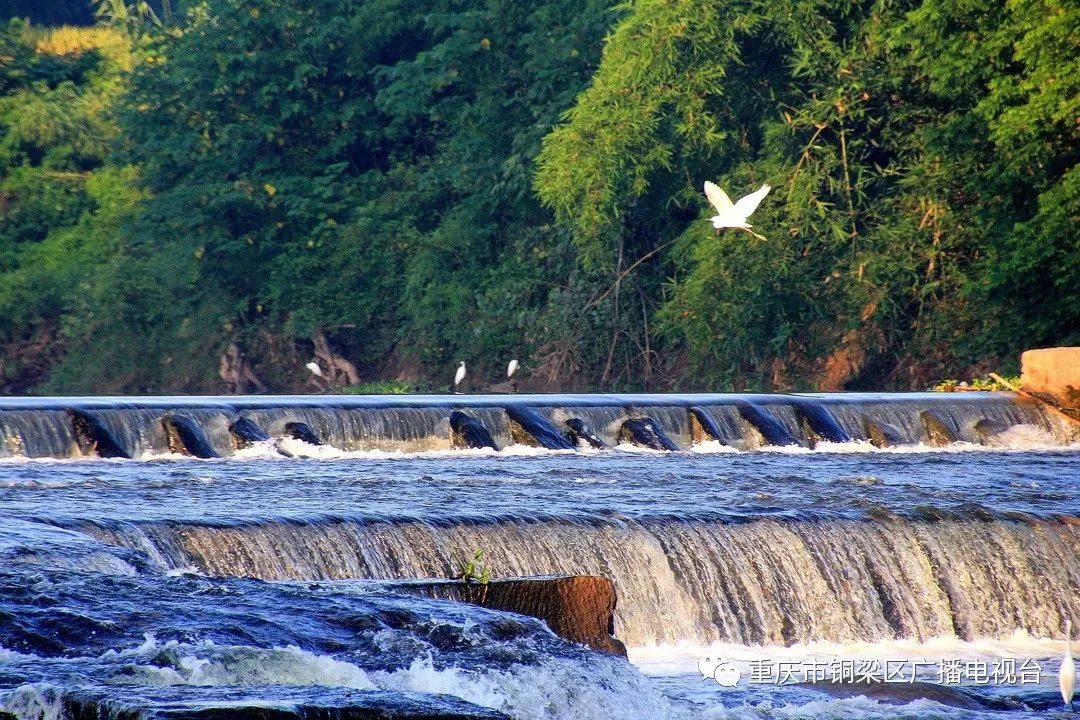 重慶6區(qū)縣遭遇大暴雨，3條河流超保證水位