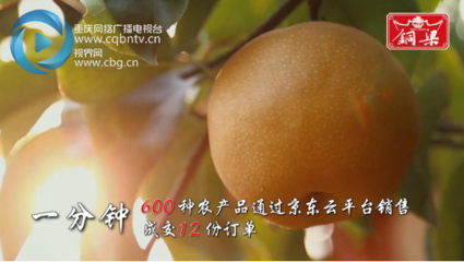 100秒看重慶·銅梁