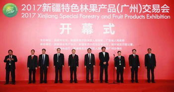 跨越3000公里 新疆特色林果空降廣州